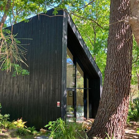Nouveau - Ecolodge 'Calme Et Nature' - Avec Piscine Au Golf-Lac De Biscarrosse - Couchage 2 Personnes Экстерьер фото